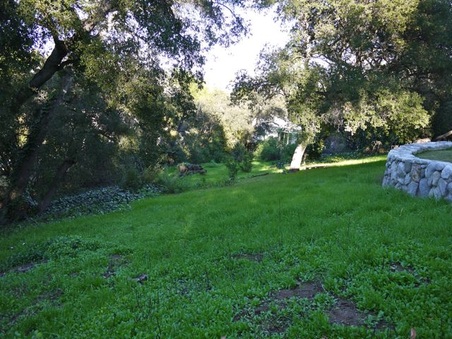 Enlarge photo 37