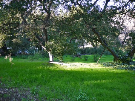 Enlarge photo 41
