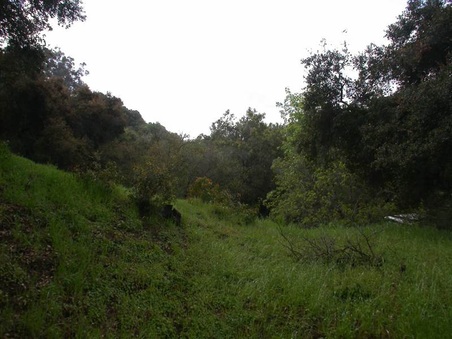 Enlarge photo 34