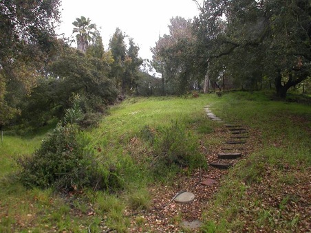 Enlarge photo 36