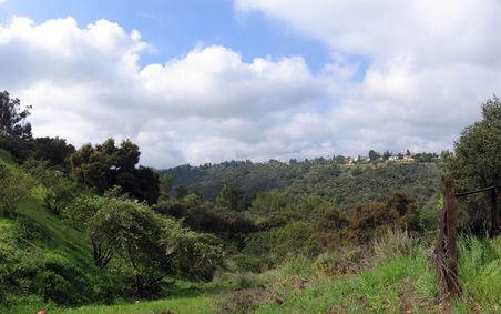 Enlarge photo 39