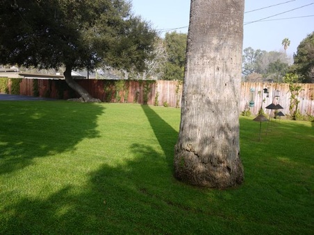 Enlarge photo 38