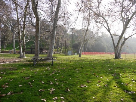 Enlarge photo 46