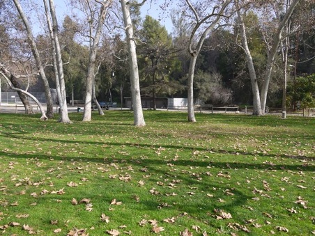 Enlarge photo 48
