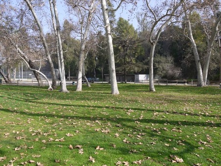 Enlarge photo 49