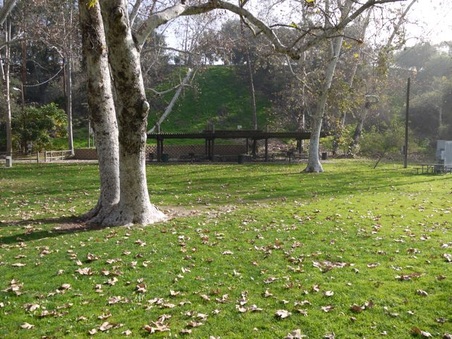 Enlarge photo 50