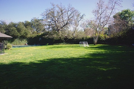 Enlarge photo 37