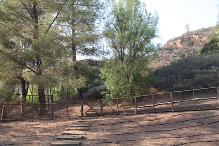 Enlarge photo 9