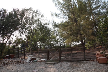 Enlarge photo 11