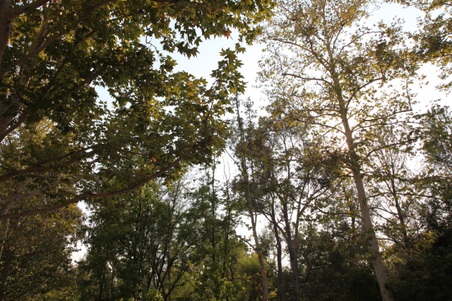 Enlarge photo 69