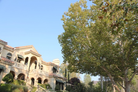 Enlarge photo 73