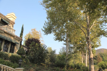 Enlarge photo 74