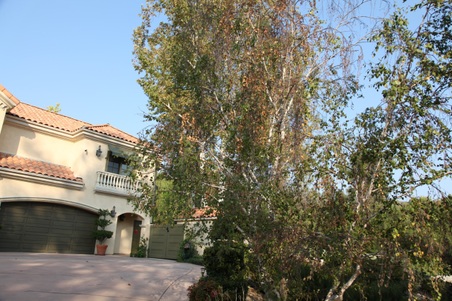 Enlarge photo 81