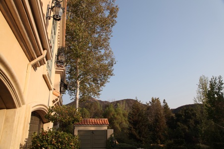 Enlarge photo 85