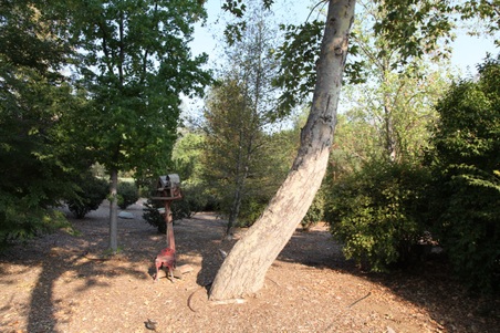 Enlarge photo 96