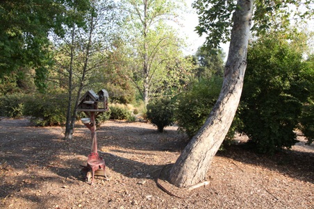 Enlarge photo 97