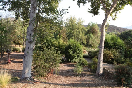 Enlarge photo 100
