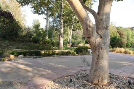 Enlarge photo 103