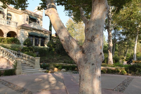 Enlarge photo 104