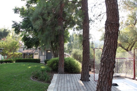 Enlarge photo 5