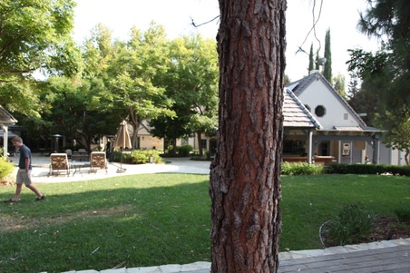 Enlarge photo 7