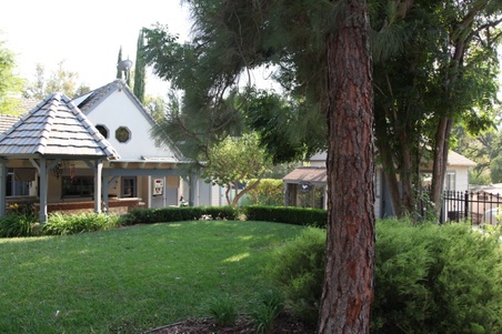 Enlarge photo 12