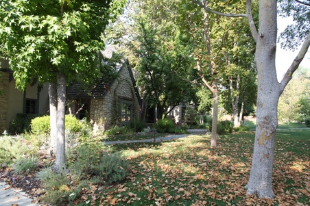 Enlarge photo 83