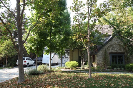Enlarge photo 85