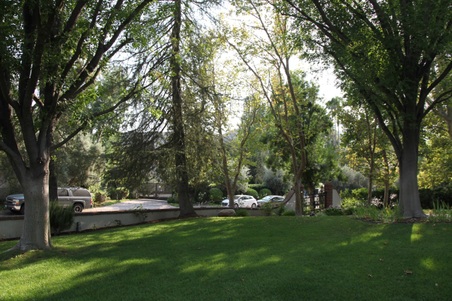 Enlarge photo 90