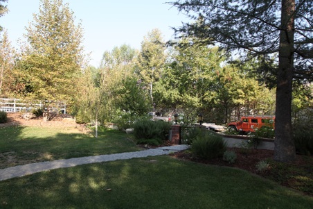 Enlarge photo 91