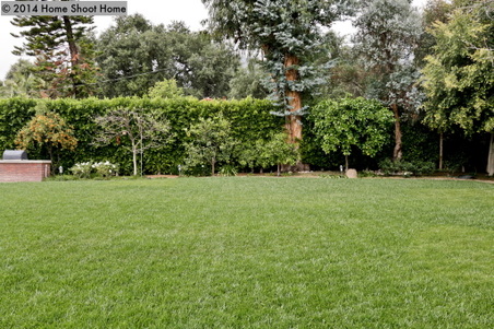 Enlarge photo 17