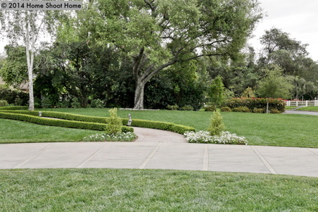 Enlarge photo 24