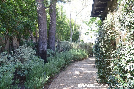 Enlarge photo 42