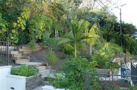 Enlarge photo 58