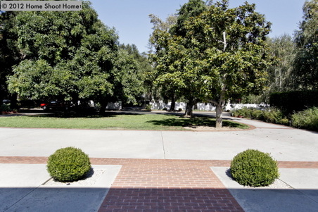 Enlarge photo 25
