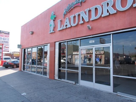 Alligator Laundry