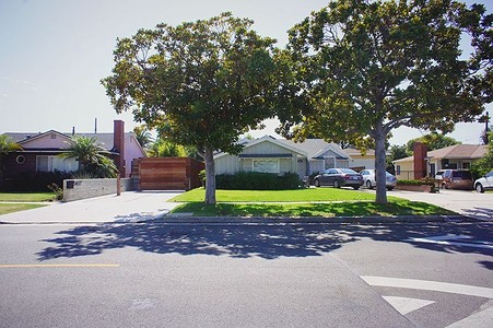 Enlarge photo 51