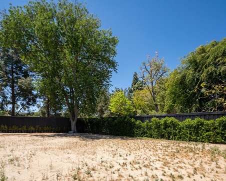 Enlarge photo 71