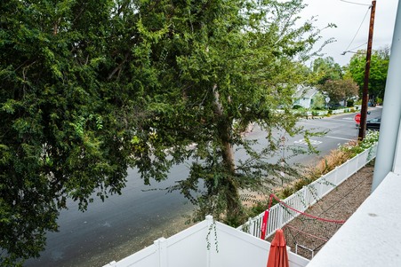 Enlarge photo 46