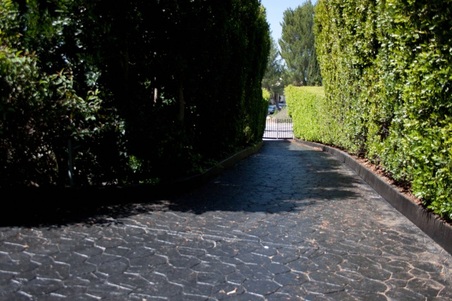 Enlarge photo 68