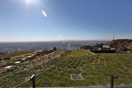 Enlarge photo 56