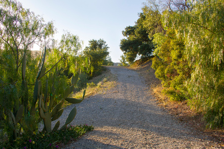 Enlarge photo 44