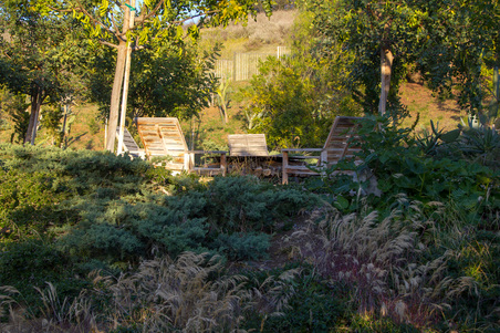 Enlarge photo 48