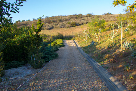 Enlarge photo 51