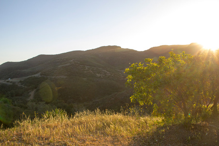 Enlarge photo 52