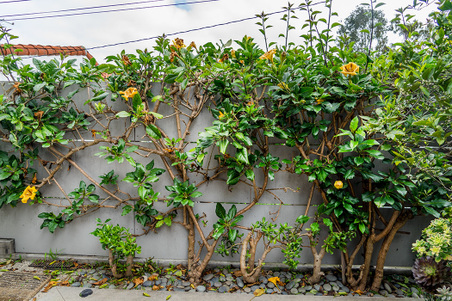 Enlarge photo 45