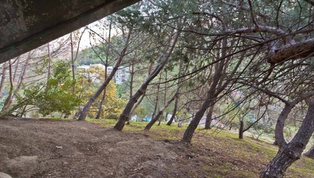 Enlarge photo 76