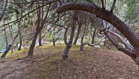Enlarge photo 77