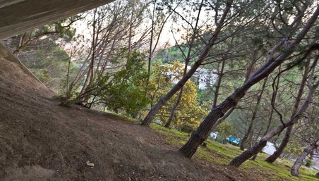 Enlarge photo 78