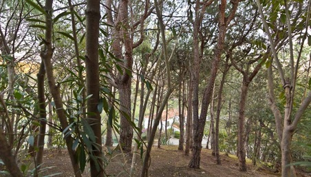 Enlarge photo 84